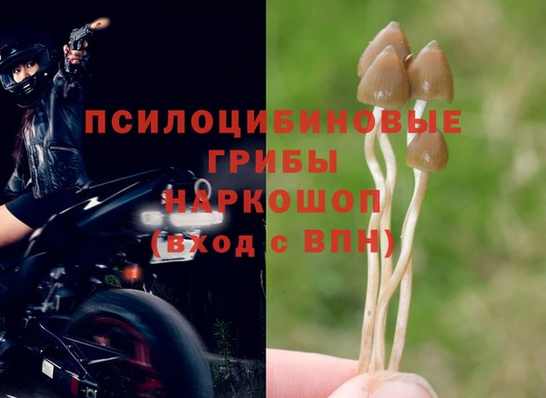 героин Касимов